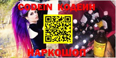 индика Гатчина