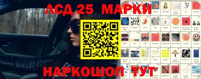 индика Гатчина