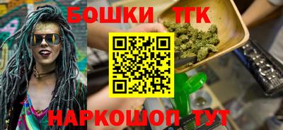 индика Гатчина