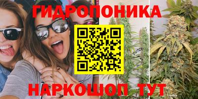 индика Гатчина