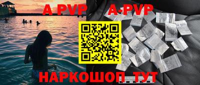 индика Гатчина