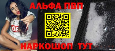 индика Гатчина