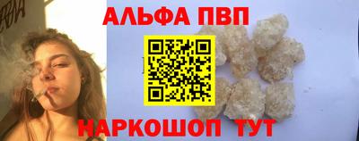 индика Гатчина