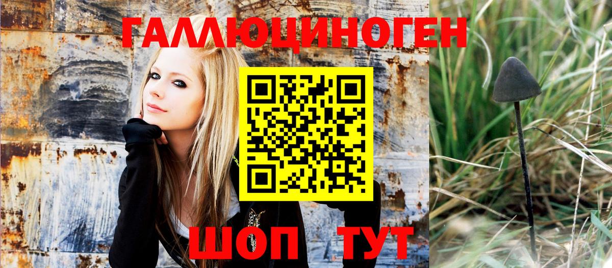 Галлюциногенные грибы Magic Shrooms  Псилоцибиновые грибы Psilocybine cubensis  Магадан  Вход с VPN 