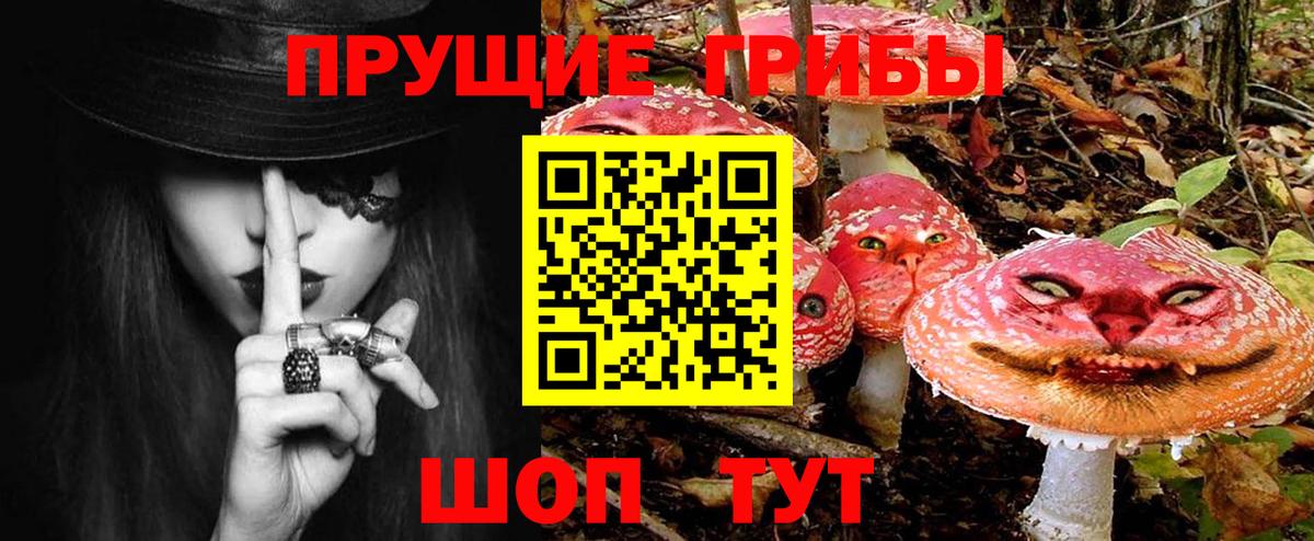 Псилоцибиновые грибы ЛСД Магадан